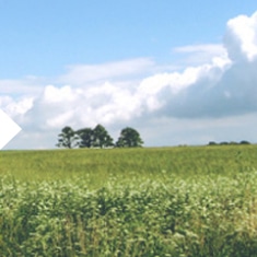 illustration acheter terrain